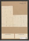 Amphiprora semistriata Grun. (de-Toni-Nr.: Genus 29) Zeichnungen Sammlung Grunow Nr. 2586 (NHMW-BOT-W0369773)